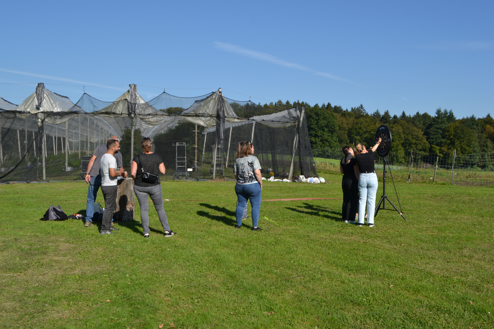 Bild (12)